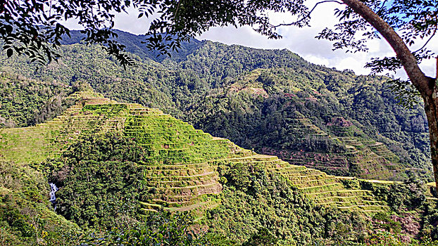 稻米梯田,巴纳韦,吕宋岛,菲律宾