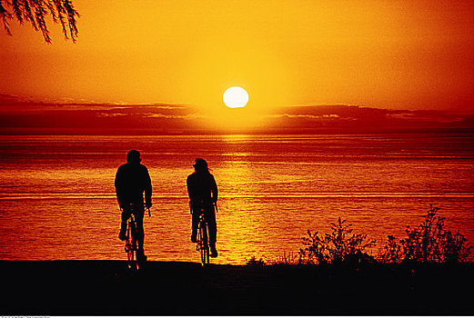 剪影,伴侣,骑自行车,日落