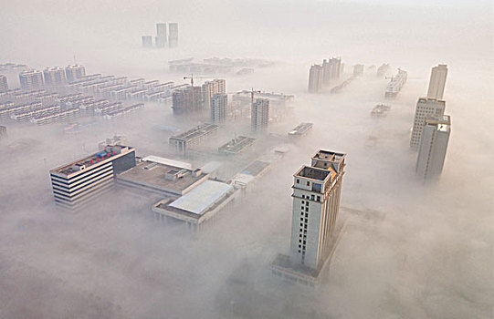 城市早晨的平流雾