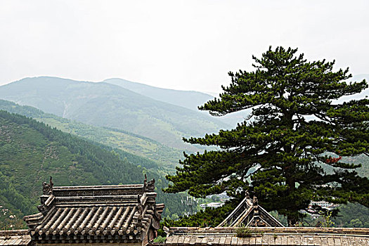 五台山南山寺风光