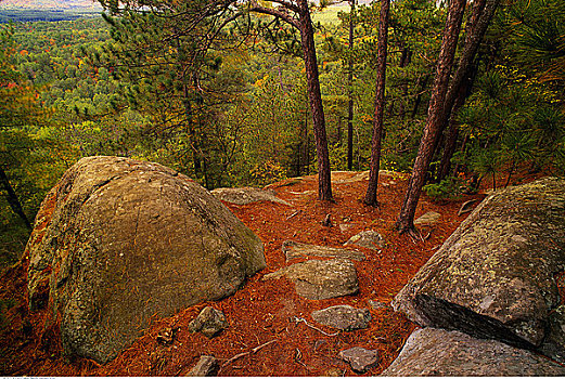 石头,树林,阿尔冈金省立公园,安大略省,加拿大