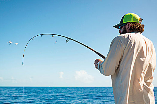 钓鱼,男人,海洋,佛罗里达,美国