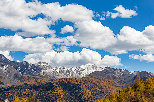 雅拉雪山