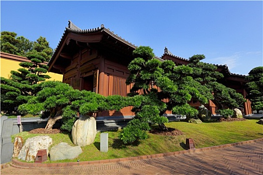 中式花园,房子