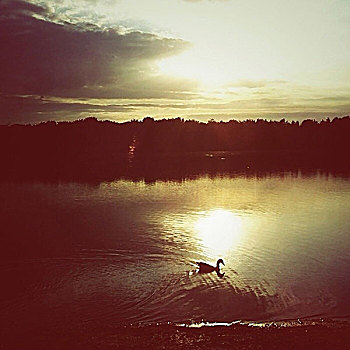 日落,湖