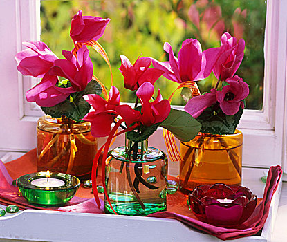 小,花朵,仙客来,玻璃花瓶,窗户