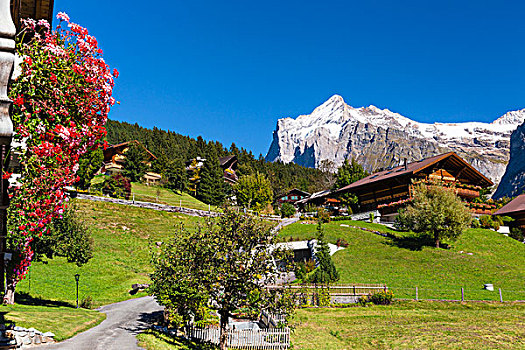 木制屋舍,正面,攀升,贝塔峰,伯尔尼阿尔卑斯山,瑞士