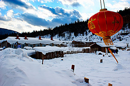 雪,乡野,树林,农场,黑龙江,东北方,中国,亚洲