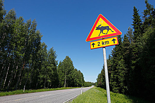 芬兰,区域,南方,路标,麋鹿
