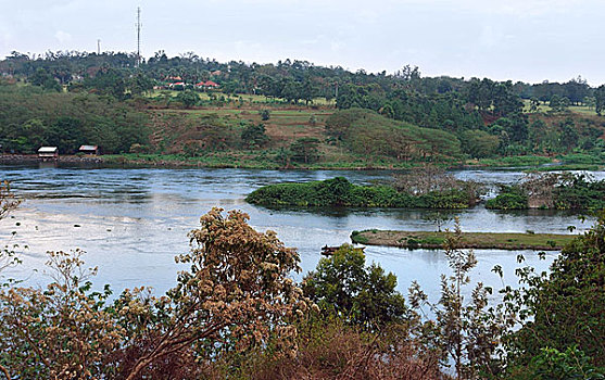 靠近,尼罗河,乌干达