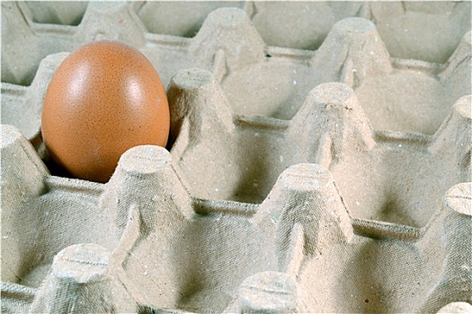 蛋架,褐色,柴鸡蛋
