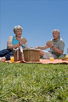 老年,夫妻,纸牌,野餐