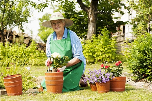 老年,女人,花,花园