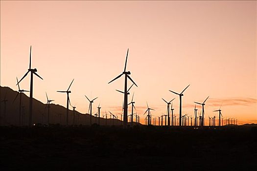风电场,山谷,加利福尼亚