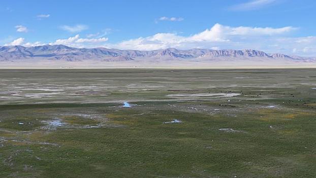 西藏阿里,北方高平地,羌塘高原