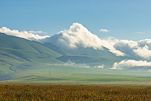 高原牧场草原风光