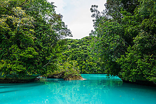 青绿色,水,洛克群岛,帕劳,中心,太平洋