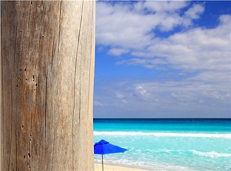 加勒比,热带沙滩,木头,风化,杆