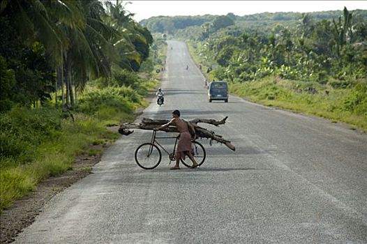 男人,装载,自行车,公路,柬埔寨
