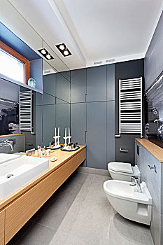 长,现代,浴室,盥洗盆,仰视,反射,墙壁,相对,卫生间,坐便器
