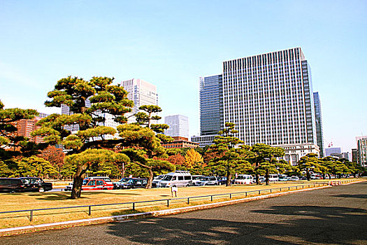 日本皇居广场