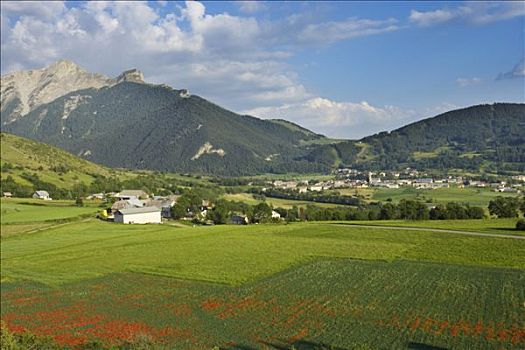 法国,全视图,夏天