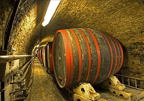 葡萄酒桶,最大,酒窖,东南欧,欧洲