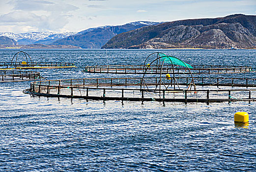 挪威,养鱼场,三文鱼,峡湾