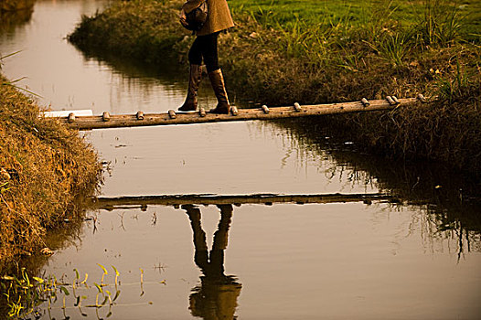 女人,穿过,溪流,简单,木桥