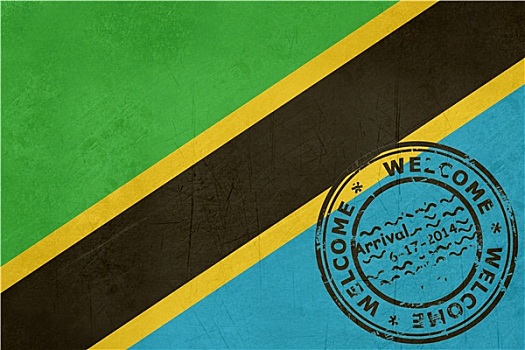 欢迎,坦桑尼亚,旗帜,护照