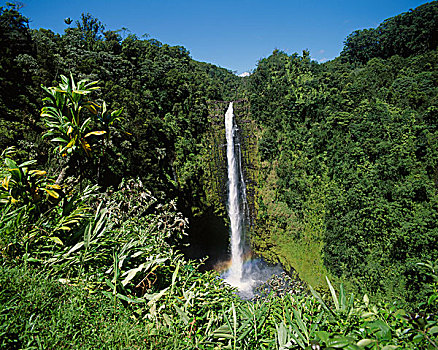 美国,夏威夷,阿卡卡瀑布州立公园,阿卡卡瀑布