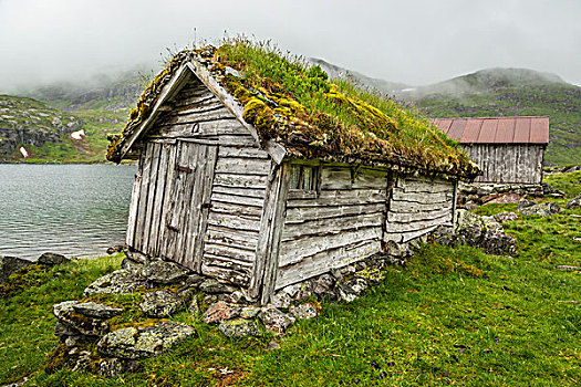 木屋,草皮,屋顶,国家,旅游,路线,伯莱斯特兰德,松奥菲尔当纳,挪威