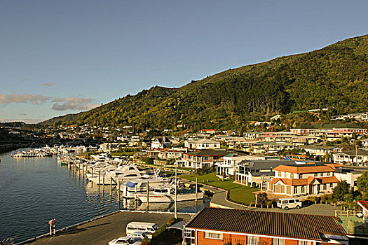 皮克顿,南岛,新西兰
