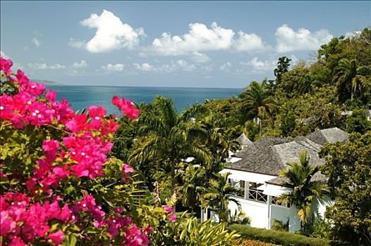 牙买加,风景