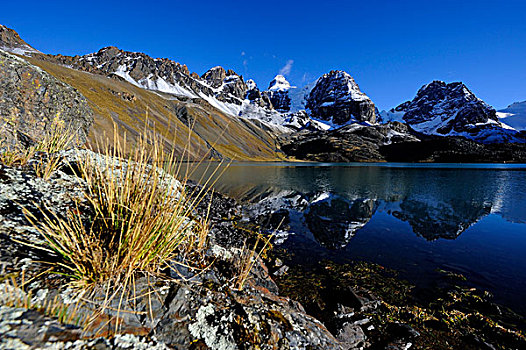 泻湖,反射,山峦,玻利维亚,南美