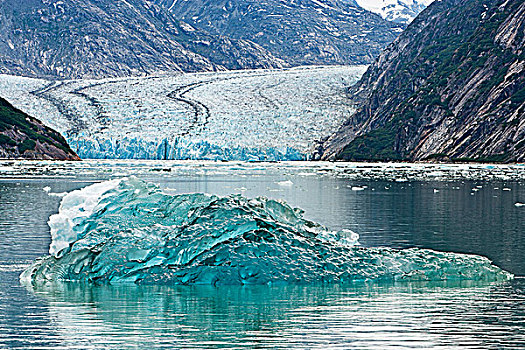 冰山,漂浮,正面,冰河,恩迪科特湾,阿拉斯加