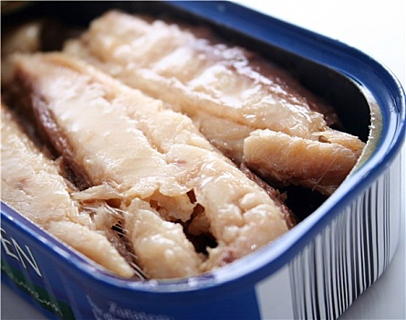 罐头鱼图片_罐头鱼高清图片大全_罐头鱼图片下载