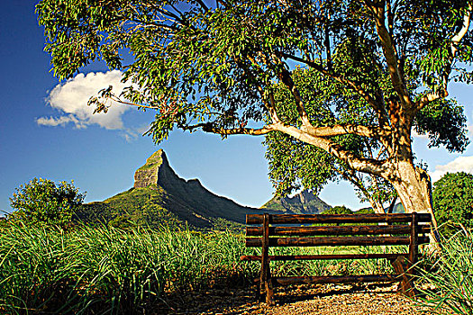 毛里求斯,风景,长椅,山