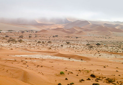 纳米布沙漠,纳米比亚