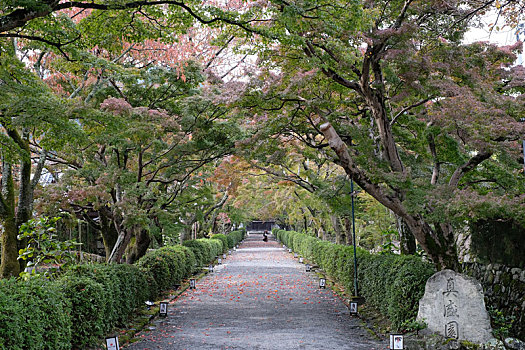 日本比叡山西教寺