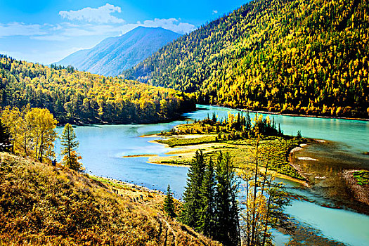 新疆,喀纳斯,森林,河流,秋色
