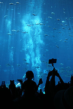 水族馆