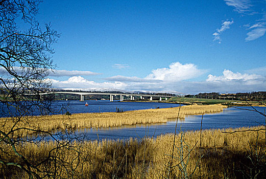 桥,城市,北爱尔兰