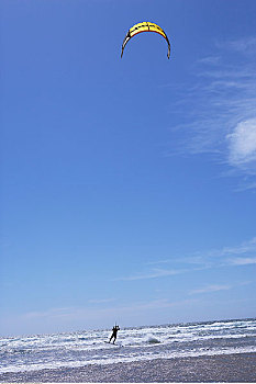 风筝冲浪,加利福尼亚,美国