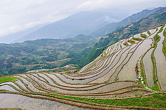 桂林梯田风光