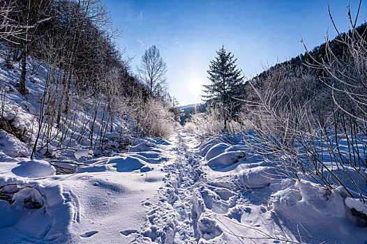 中国雪乡羊草山风景区森林与山路雪景