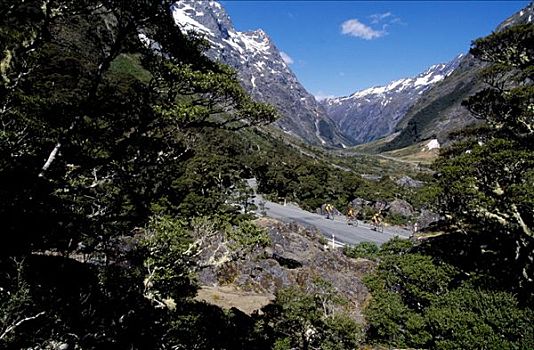 山地车手,南阿尔卑斯山,南岛,新西兰