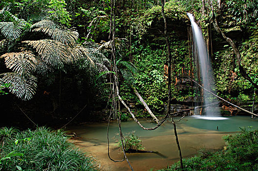 瀑布,层叠,上方,层次,床,砂岩,山,国家公园,马来西亚