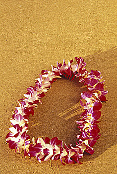 美国,夏威夷,毛伊岛,海滩,万带兰,兰花,花环,日落