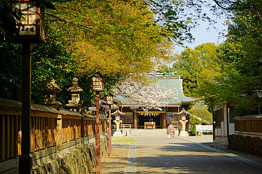 神祠,春天,熊本,日本